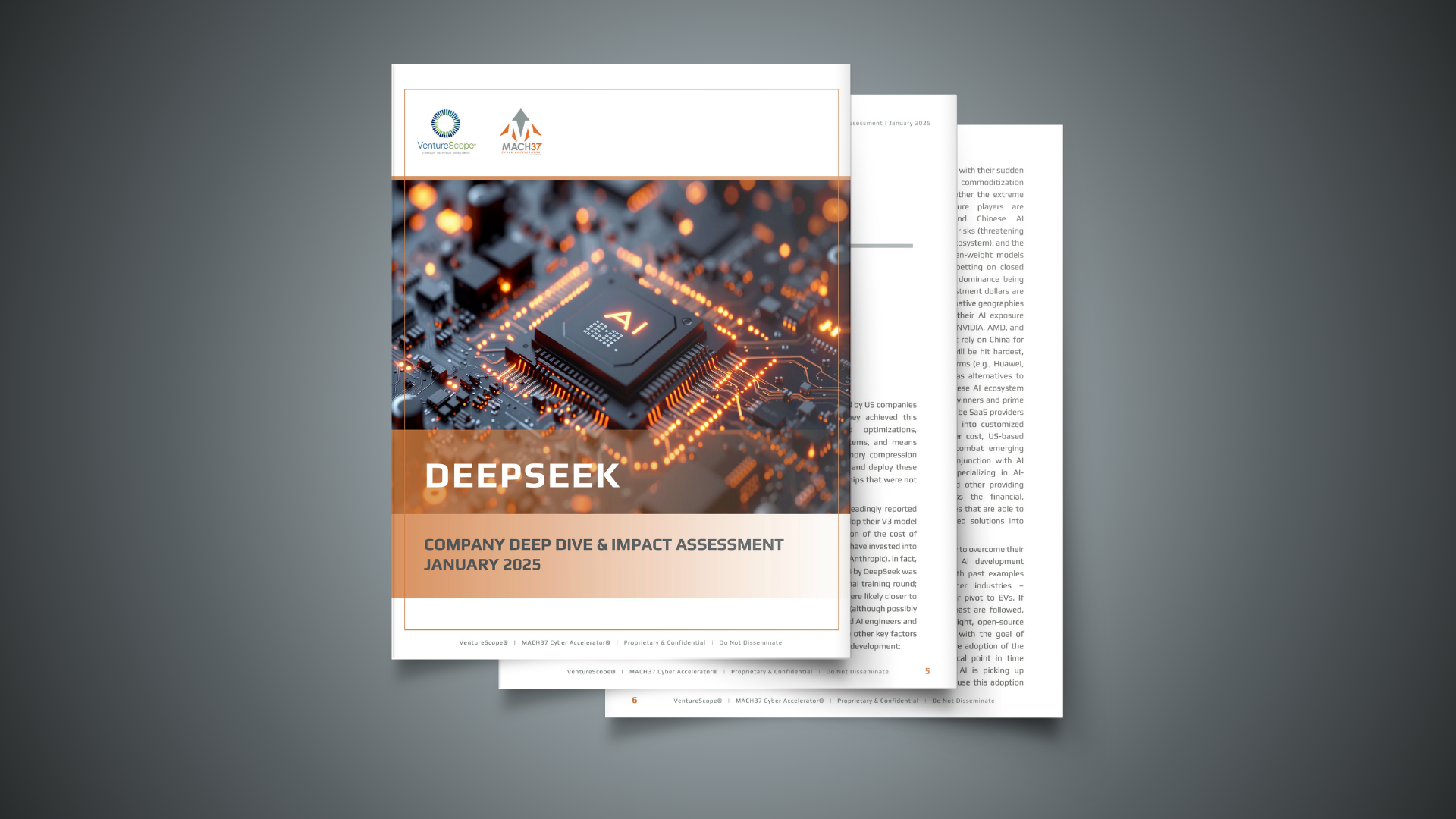 DeepSeek